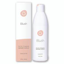 Sunlights Blush Lightweight Conditioner 12oz (Runway) - Sunlights | Available at Studio 360 Salon, Chatham, NJ